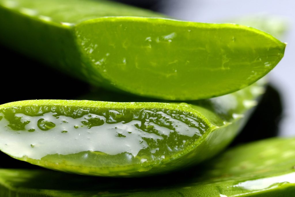 Aloe Vera als Hausmittel gegen Pickel