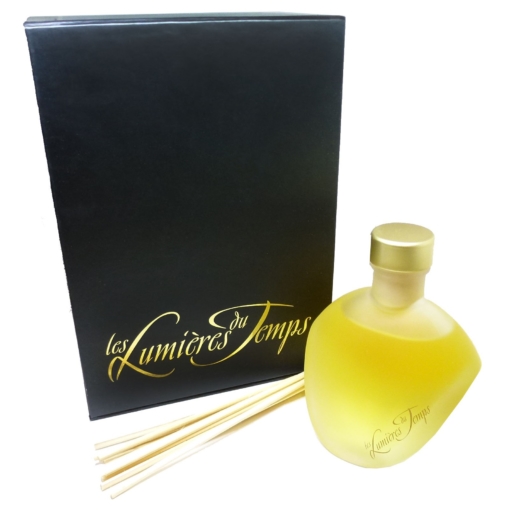 Les Lumières du Temps Diffuseur Incense + Ginger - Raum Duft Geschenk Set 100ml